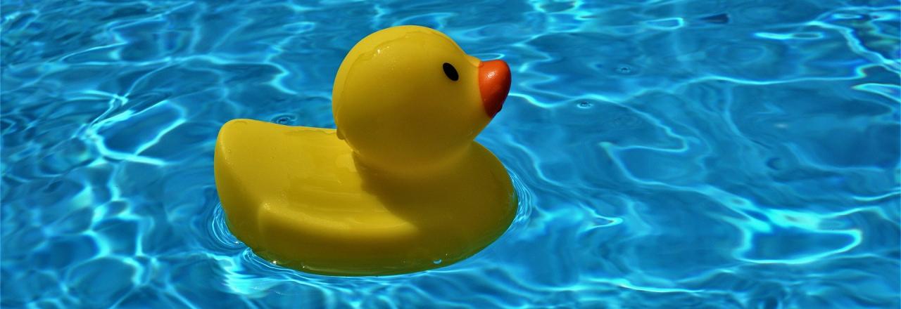 „EU bestätigt hervorragende Badewasserqualität in Österreich“