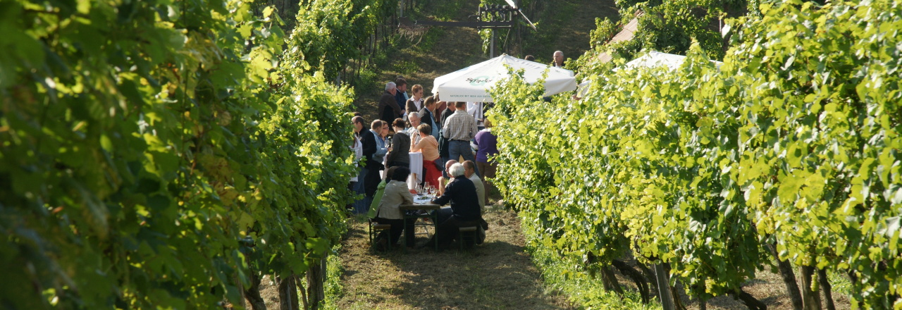 Weinherbsteröffnung in Wolkersdorf