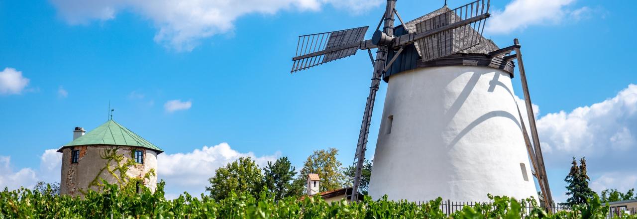 Österreichs einzige, vollständig betriebsfähige Windmühle 