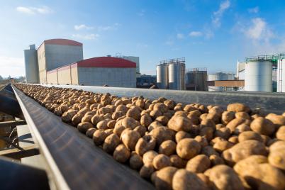 AGRANA schließt bisher längste Stärkekartoffelkampagne erfolgreich ab