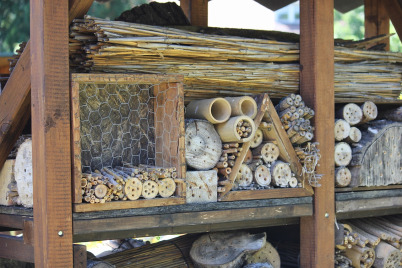 Kellergassenverein Immendorf fördert Biodiversität 