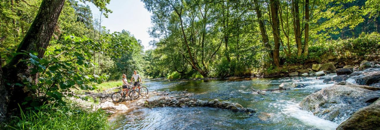 Ferien im Waldviertel sind heuer stark nachgefragt