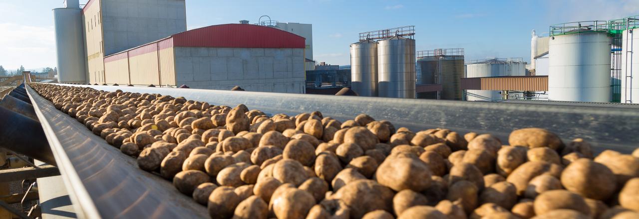 AGRANA schließt bisher längste Stärkekartoffelkampagne erfolgreich ab