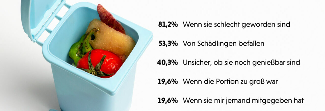 So treten die Österreicher*innen dem Problem der Lebensmittelverschwendung entgegen