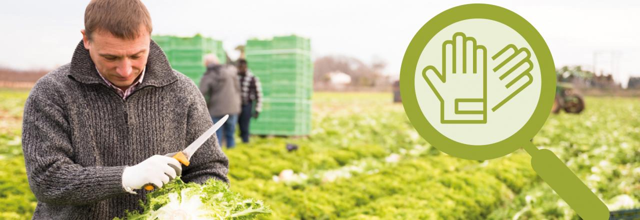 Lebensmittel nicht am Feld verfaulen lassen