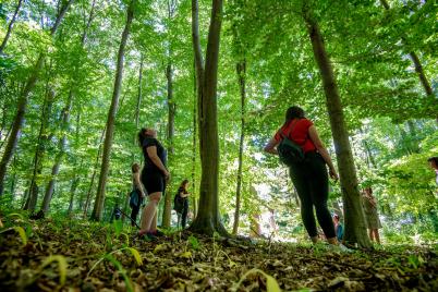 Waldquelle bietet Achtsamkeitstraining – auch virtuell für zu Hause