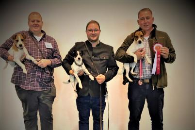 Parson Russel Terrier aus Mistelbach qualifiziert sich für internationale Hundeschau! 