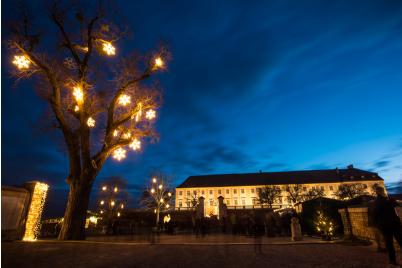 Winterzauber auf Schloss Hof