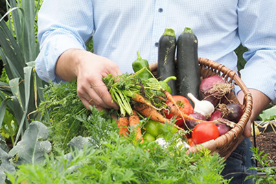 NÖ Bauernbund präsentiert Saisonkalender für heimisches Obst und Gemüse