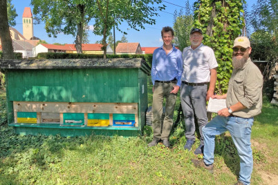 Dreißig Mistelbacher Imker wurden besucht