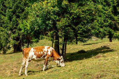 Ernährung ist eine soziale Frage