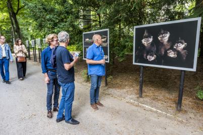 FESTIVAL LA GACILLY-BADEN PHOTO 2020