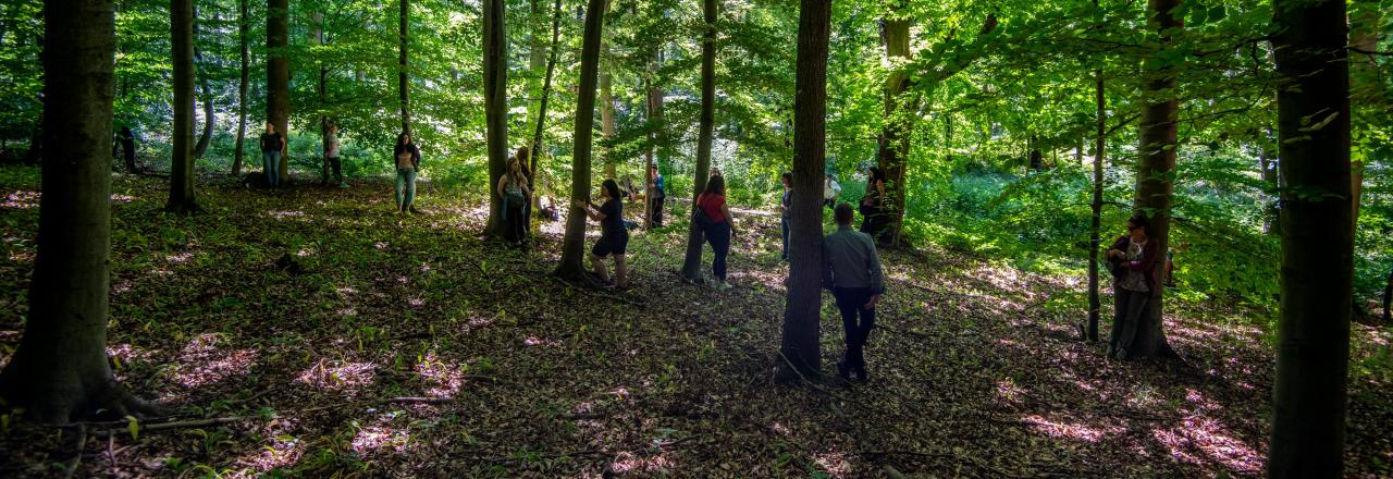 Waldquelle bietet Achtsamkeitstraining – auch virtuell für zu Hause