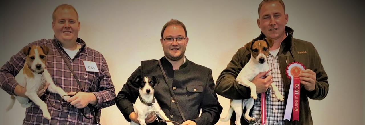 Parson Russel Terrier aus Mistelbach qualifiziert sich für internationale Hundeschau! 