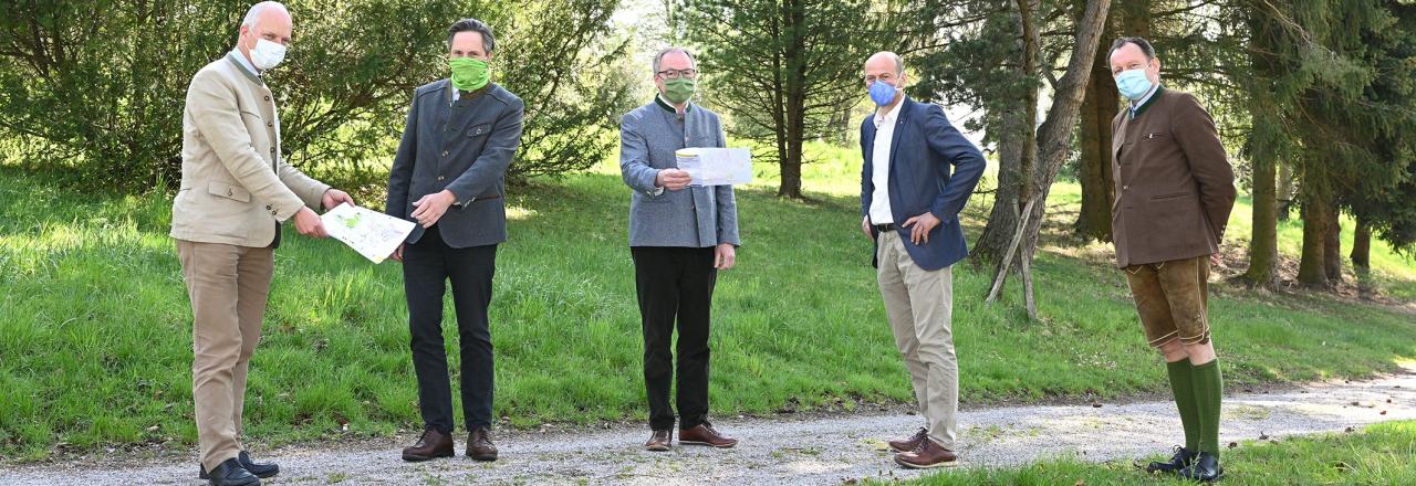 Heimische Wälder durch Trockenheit und Borkenkäfer in Gefahr