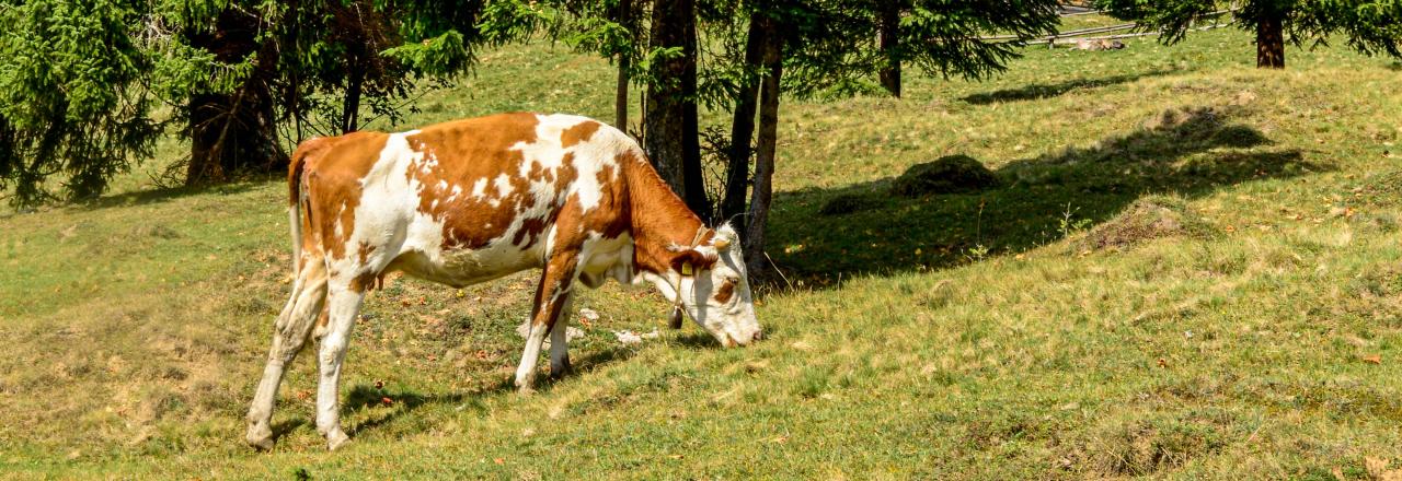 Ernährung ist eine soziale Frage