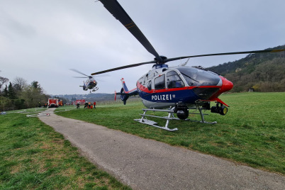 Waldbrand in Mödling aus bisher unbekannter Ursache ausgebrochen