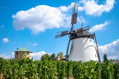 Österreichs einzige, vollständig betriebsfähige Windmühle 