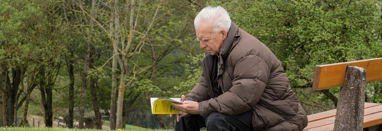 Bevölkerungsprognose 2020 zeigt Handlungsbedarf im Pensionssystem