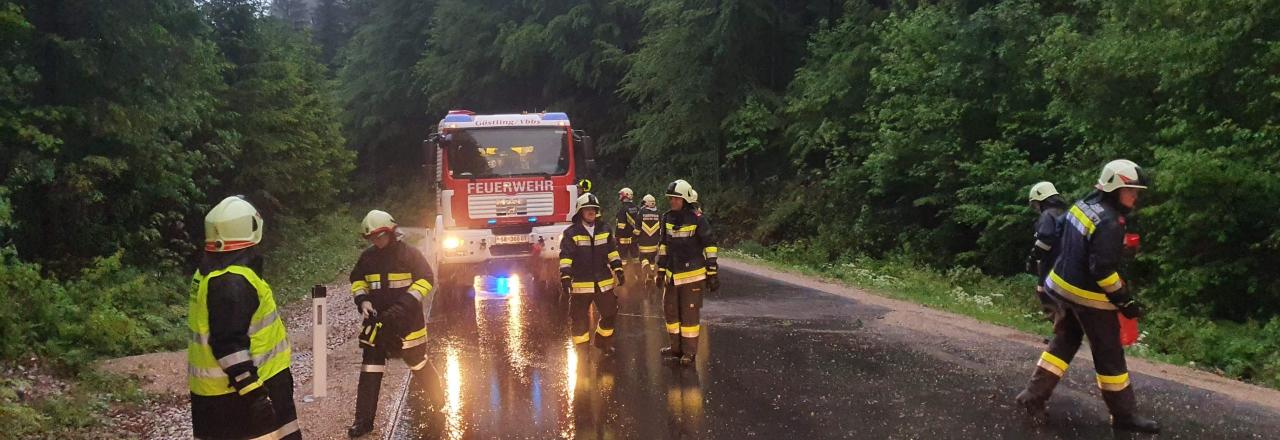 Verkehrsunfall mit eingeklemmter Person 