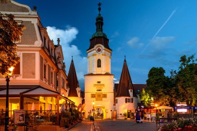 Kühltasche Schärdinger groß - Berglandmilch Molkerei Shop