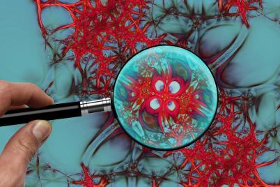 Unterschiedliche Zelltypen im neuronalen Gehirn-Netzwerk erstmals identifiziert