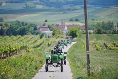 Traktorwanderung mit Winzerfestpräsidenten Andy Lee Lang