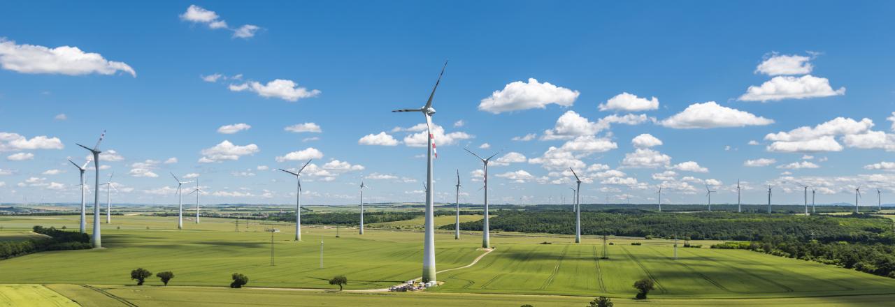 „Niederösterreich ist Vorzeigeregion bei Klimabündnisgemeinden“ 