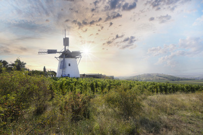 Ab 19. Mai erwartet die Retzer Windmühle ihre Gäste 