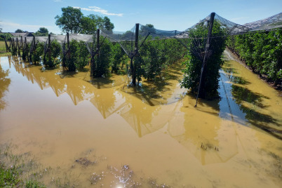 Landwirtschaft in weiten Teilen Österreichs erneut durch Unwetter verwüstet