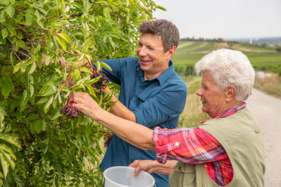 Der Klimawandel geht durch die Hecke