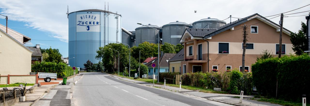 Bekenntnis zu heimischen Rübenanbau gefordert