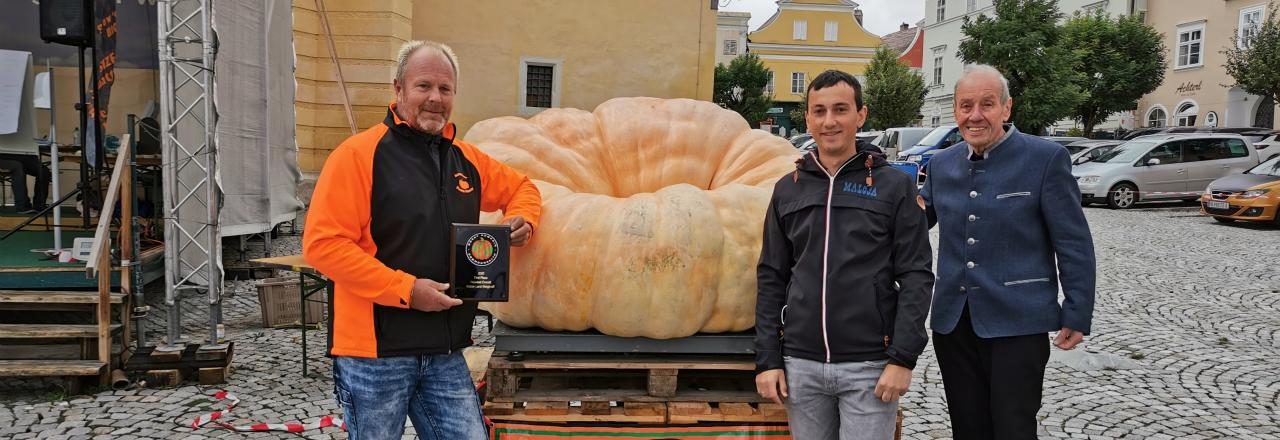 Bewerb im Zuge des Genussmarktes am Retzer Hauptplatz 