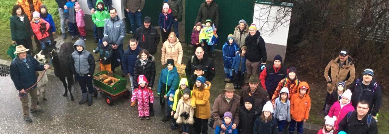 Lama-Wanderung und Wildtierfütterung zu Weihnacht