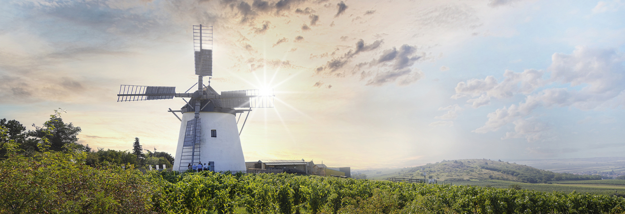 Ab 19. Mai erwartet die Retzer Windmühle ihre Gäste 