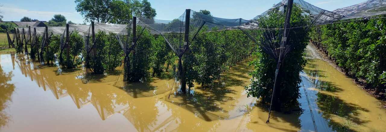 Landwirtschaft in weiten Teilen Österreichs erneut durch Unwetter verwüstet