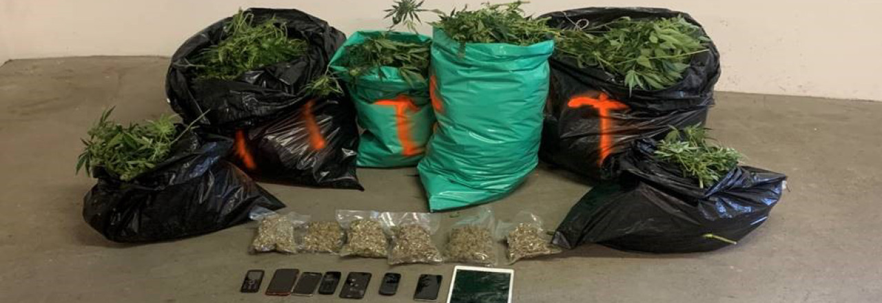 Cannabisindooranlage im Bezirk Hollabrunn sichergestellt