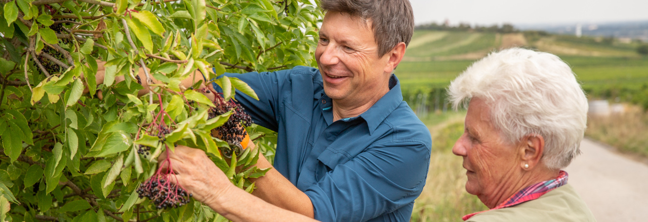 Der Klimawandel geht durch die Hecke