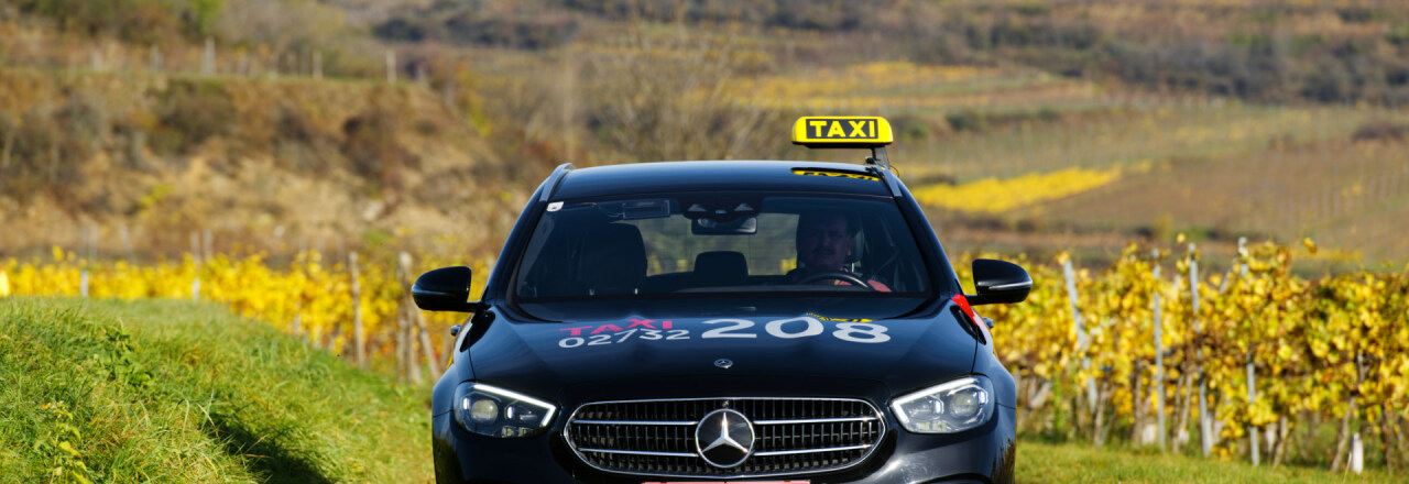Warum nicht Taxi-Chauffeur werden – wenn es so viel bietet?