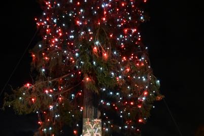 Wiens schönster Weihnachtsbaum leuchtet