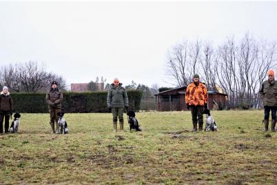 Jagdhundeausbildung und ganzjähriges Training 