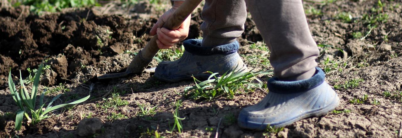 Tödlicher Freitzeitunfall im Bez. St. Pölten/Land