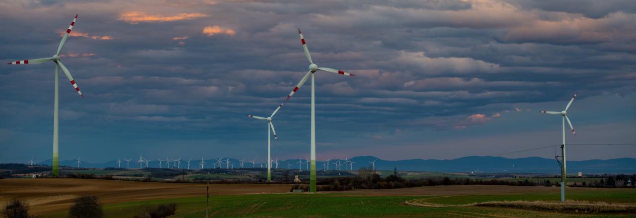 100 Donauturm-hohe Windräder im Waldviertel geplant