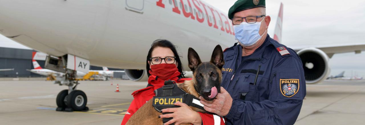 Verstärkung für die Polizeidiensthunde Niederösterreichs