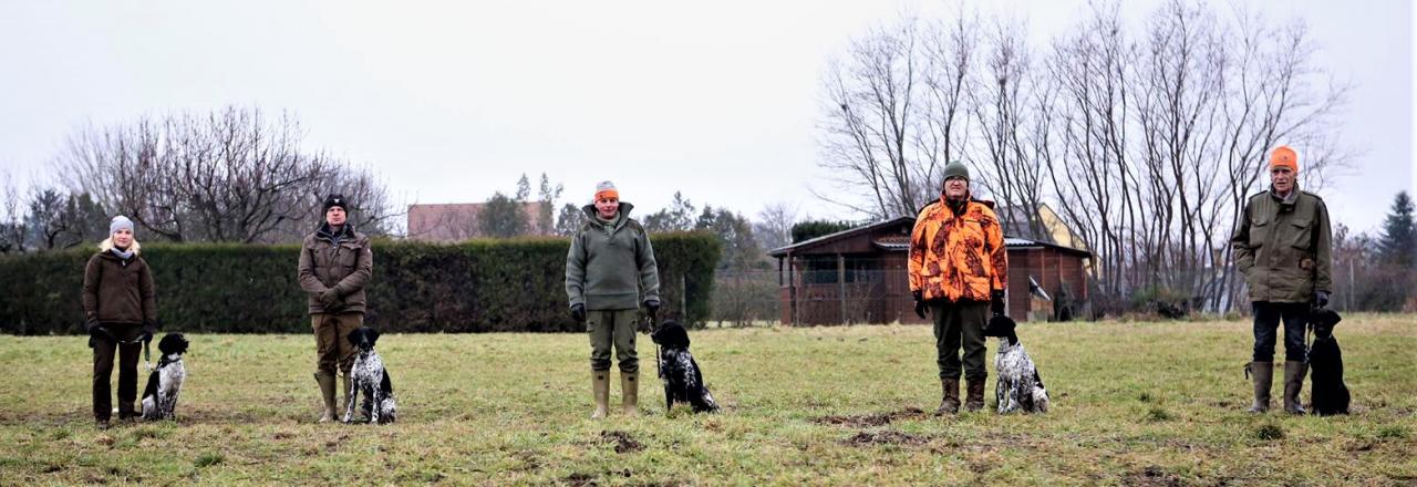 Jagdhundeausbildung und ganzjähriges Training 