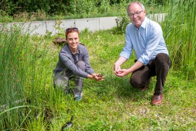 2.000 Europäische Sumpfschildkröten im Nationalpark Donau-Auen 