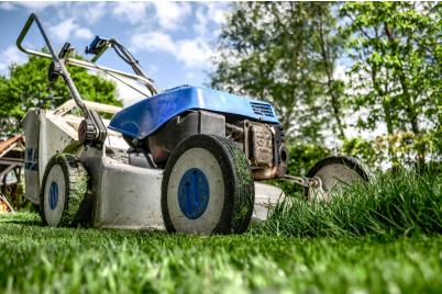 Neue Öko-Gartenbauschule startet nächstes Schuljahr in Langenlois