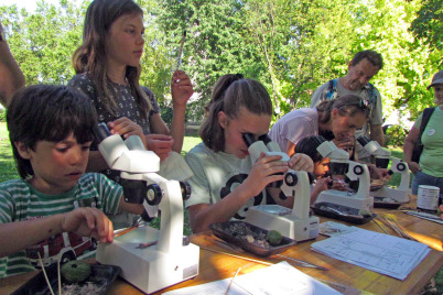 Das Ferienprogramm im schlossORTH Nationalpark-Zentrum