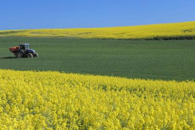 Regionalität als Schlüsselfaktor im Klimaschutz