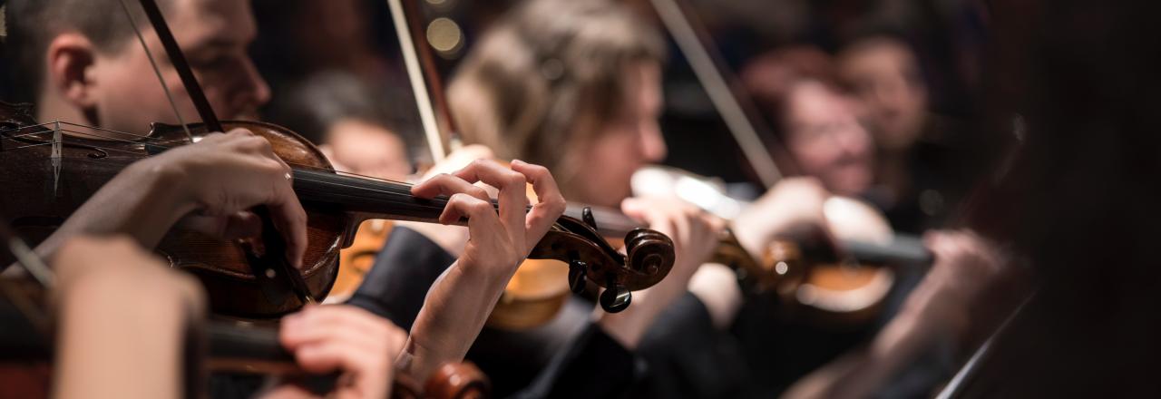 Internationale Sommerakademie Lilienfeld startet am 5. Juli